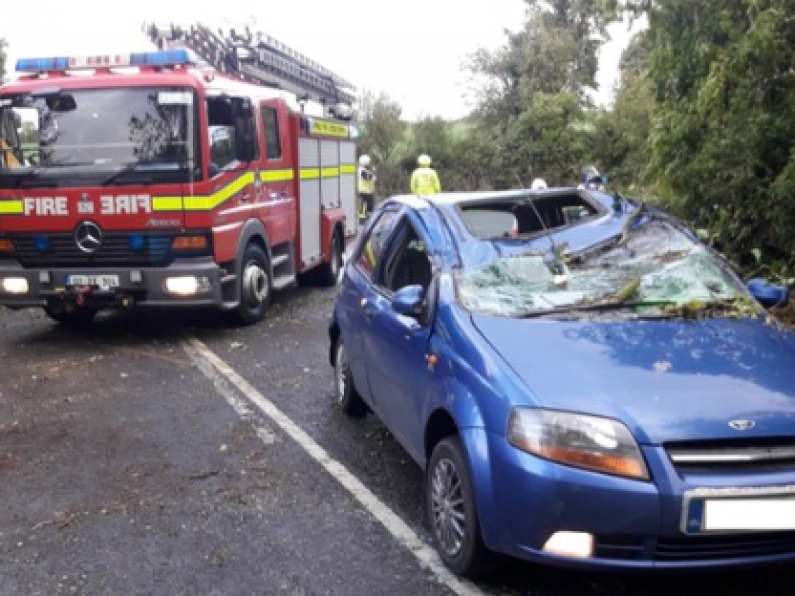 Wexford woman has lucky escape after tree falls on her car