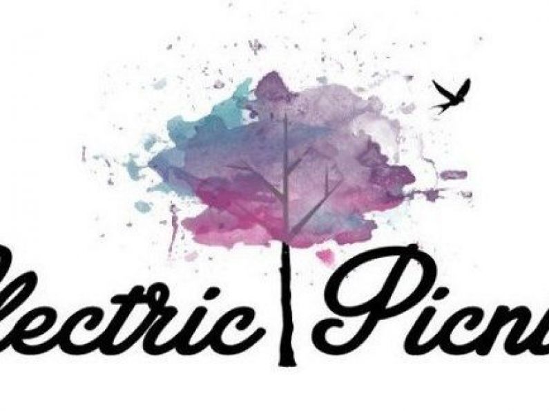 Electric Picnic Early Bird tickets sold out already