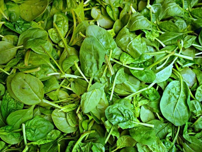 Bags of spinach recalled from supermarkets amid Listeria warnings