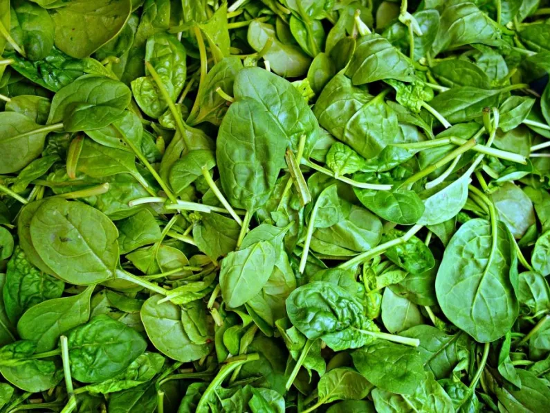 Bags of spinach recalled from supermarkets amid Listeria warnings