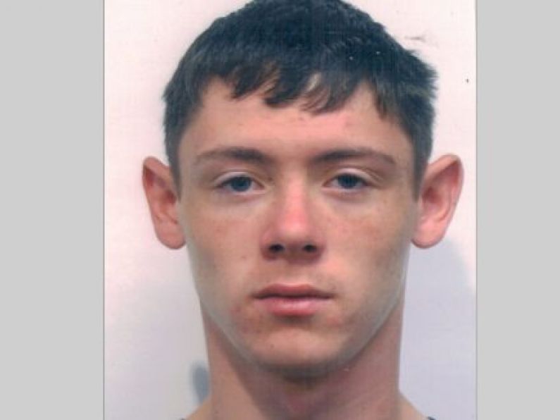 Gardaí renew appeal to find missing teen Alan Ryan