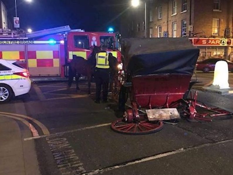 Man hospitalised after collision between car and horse and carriage