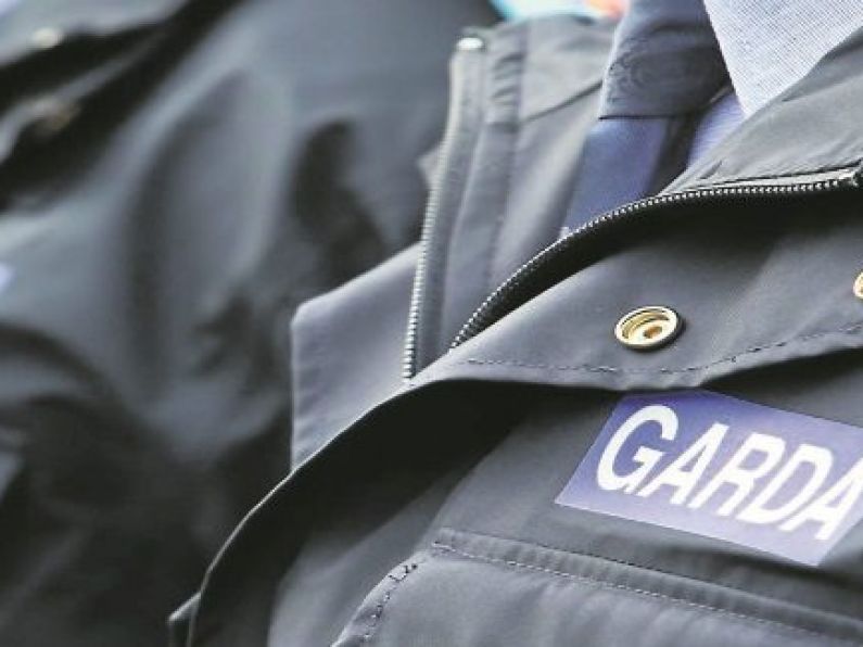 Calls for new Garda oversight body with powers to investigate retired members of force