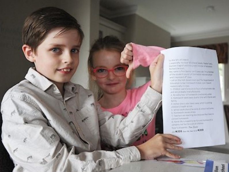 'Let kids have the time to be kids': Young student writes to TDs to abolish homework
