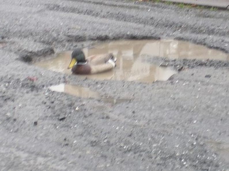Check out the potholes in Louth which are so big ducks are mistaking them for a pond