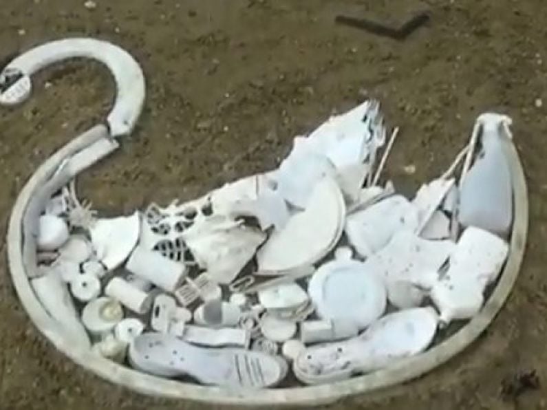 WATCH: Man-made plastic swan shows just how polluted our planet’s waters have become