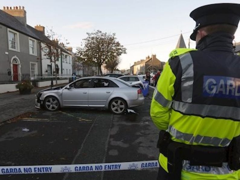 Murder investigation launched after man, 32, stabbed to death in Kildare