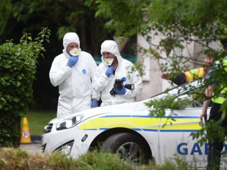 Gardaí pursuing several lines of inquiry in machete murder case, inquest hears