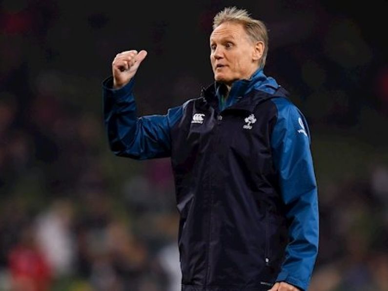 'It's part of your DNA' - Former Ireland coach doesn't expect Schmidt to retire from coaching