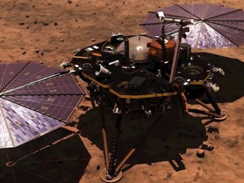 Nasa spacecraft has 'stuck the landing' on mission to Mars