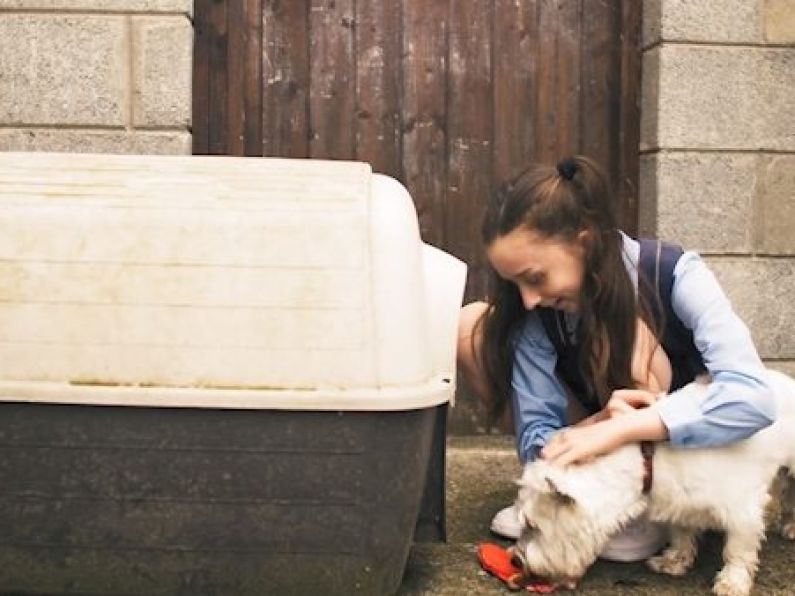 This short film highlights the bond between children and their pets during the homelessness crisis