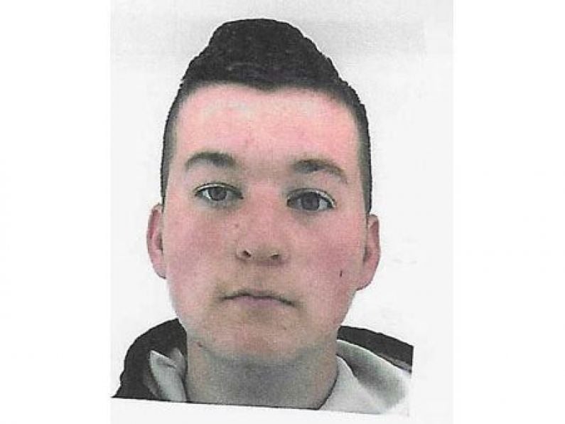 Gardaí seek help locating missing Laois teenager