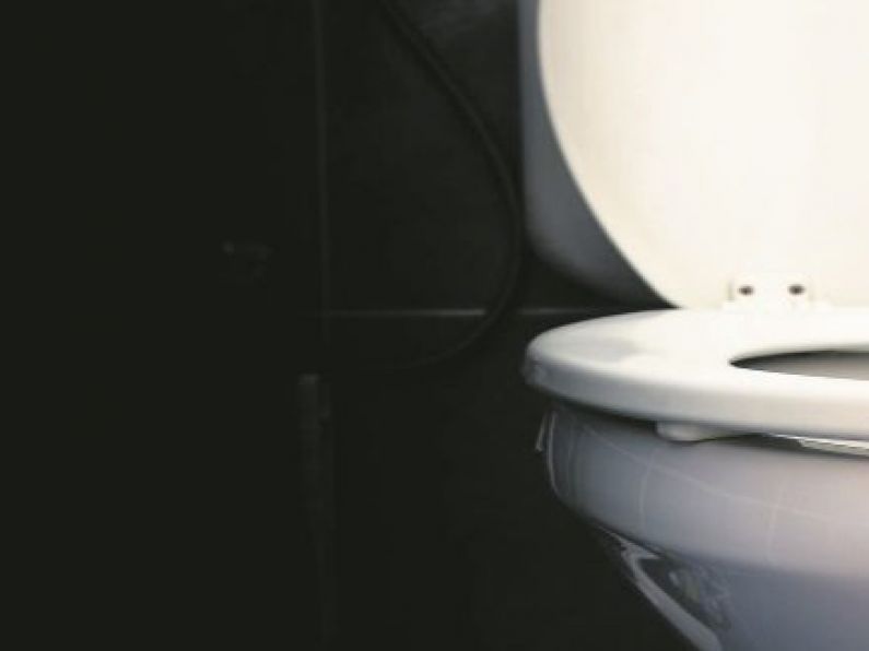 Woman falls into toliet after dropping phone