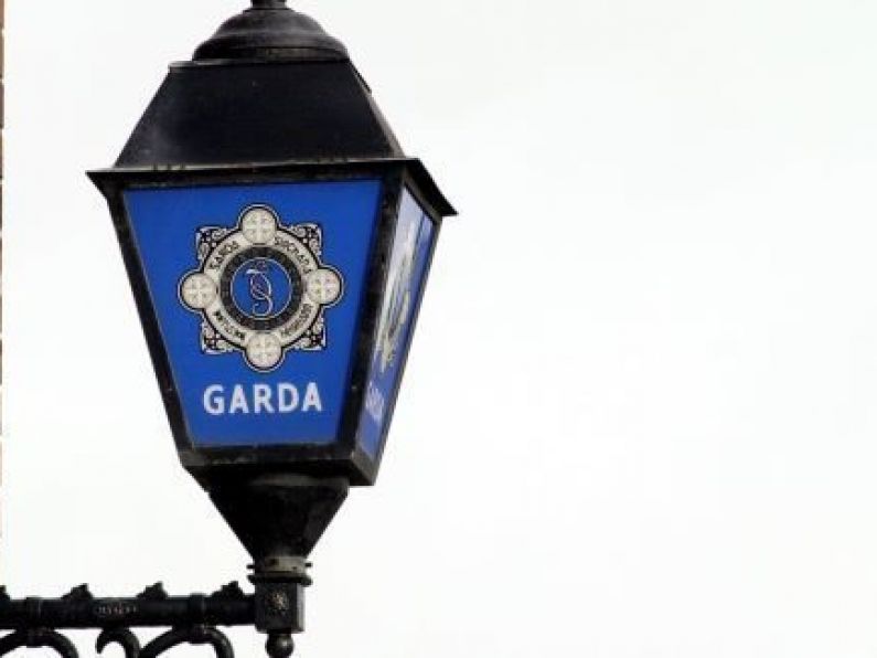 Two men arrested after drugs worth €180,000 seized