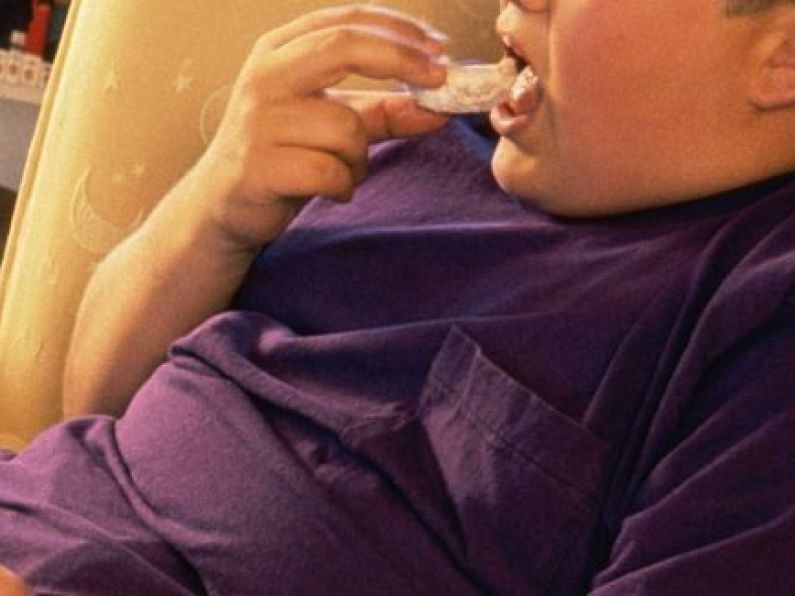 Survey finds a fifth of nine-year-olds are overweight or obese