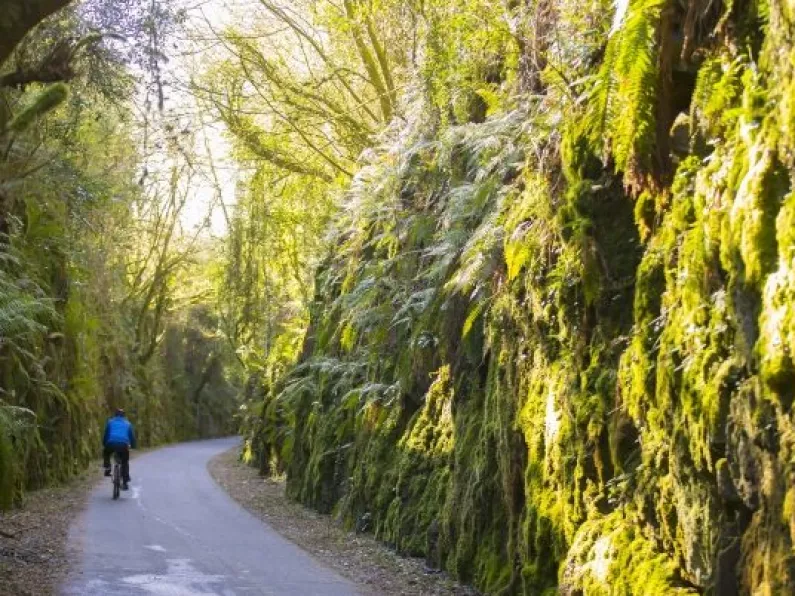 Rosslare to Waterford Greenway in "jeopardy" says Wexford Councillor