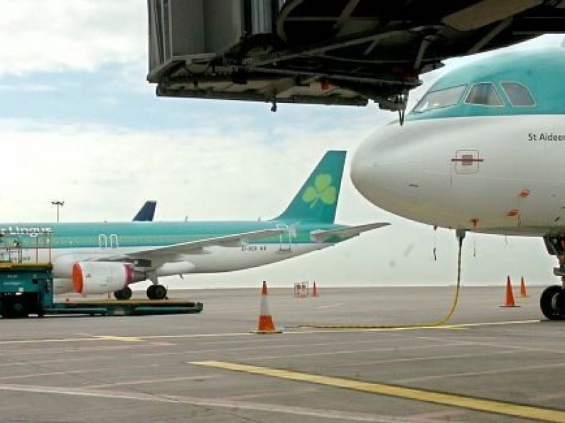 SIPTU seeks meeting with Aer Lingus over staff stealing claims