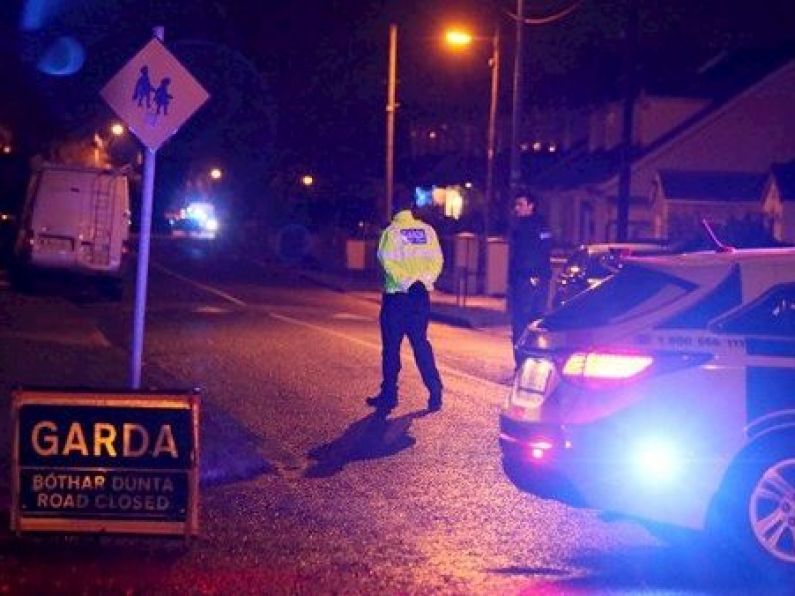 Gardaí appeal for public's help after man shot dead in Dublin driveway