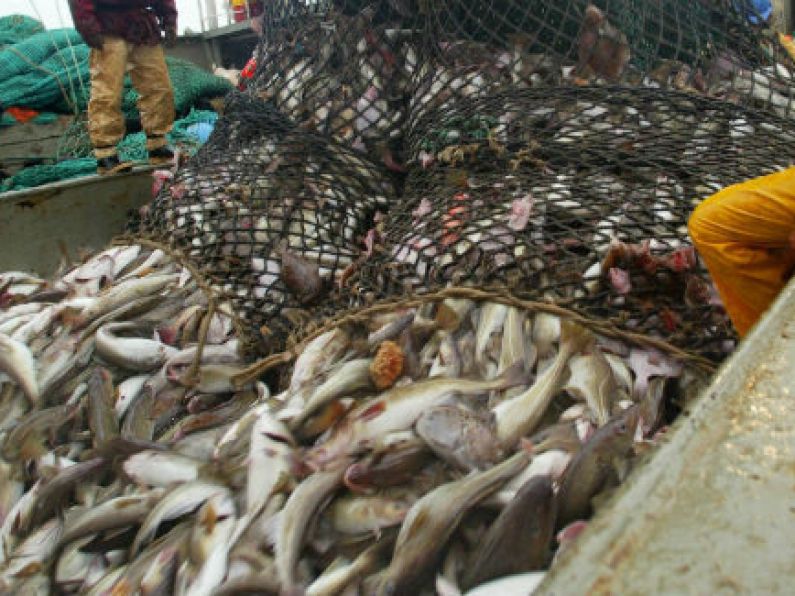 Decision to end discarding of dead fish caught at sea 'deeply disappointing'