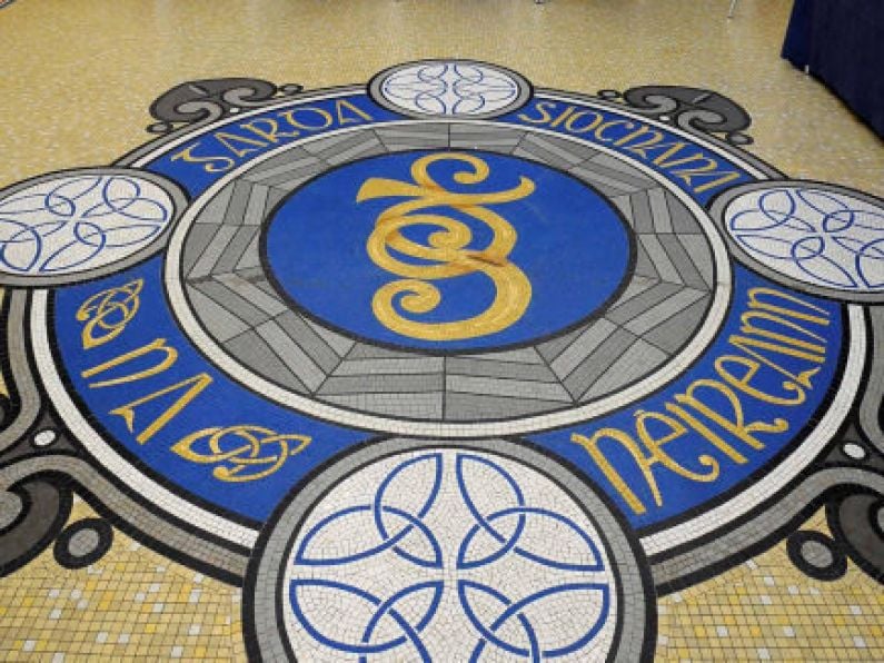 Garda hospitalised after early-morning attack by two men