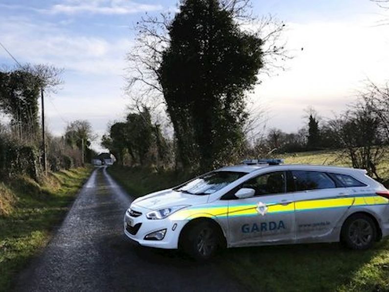 Gardai believe organised gang behind attack on Roscommon eviction firm