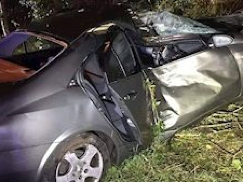 Man 'extremely lucky' after car hits tree