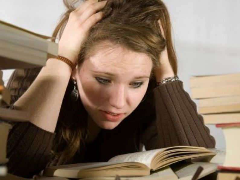 Research finds Leaving Cert causing burnout and stress among students