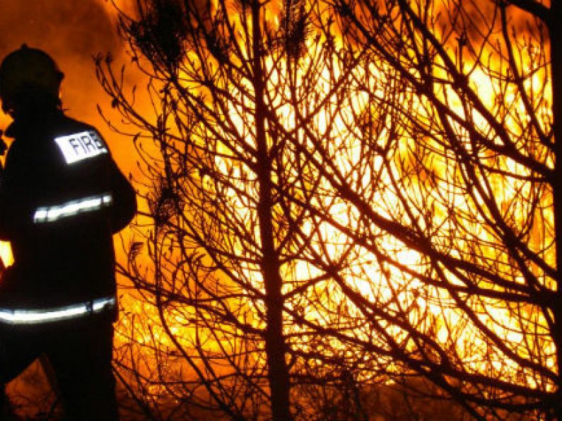 Forest fires cost the State €4m in 2018