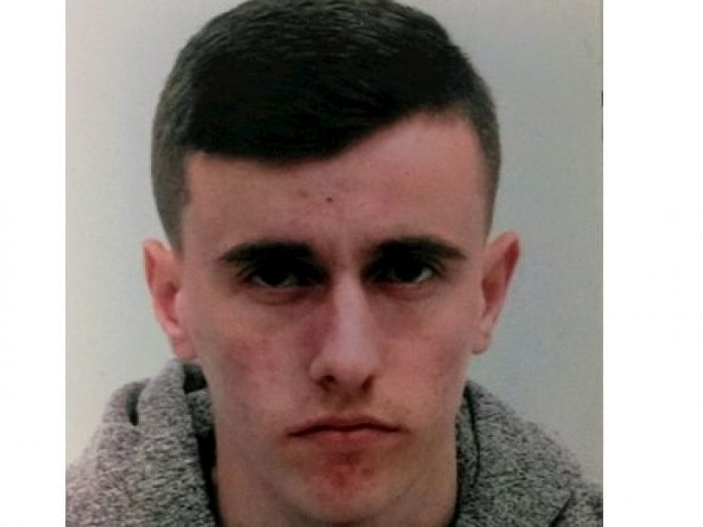 Gardaí appeal for information after teenager goes missing in Wicklow