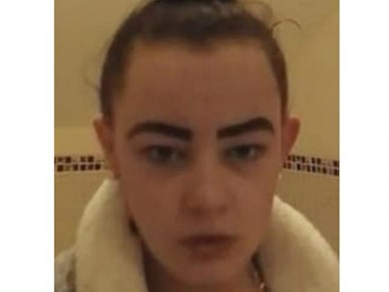 Gardaí renew appeal for information on missing teen
