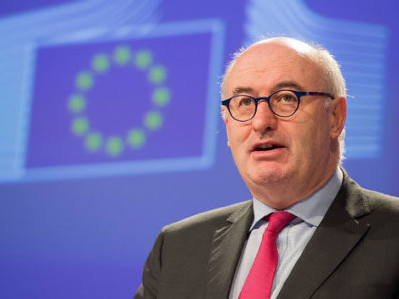 Phil Hogan: UK’s no-deal tariff plans likely breach World Trade Organisation rules