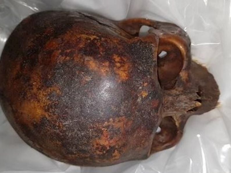 Gardaí recover 800-year-old skull of 'The Crusader'