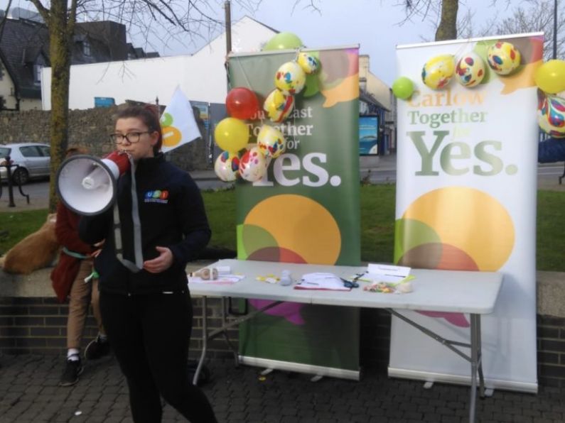 Protestors gather in Carlow over lack of abortion services