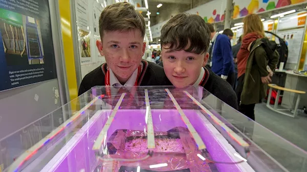 Ireland's young scientists share their solutions for the world's problems