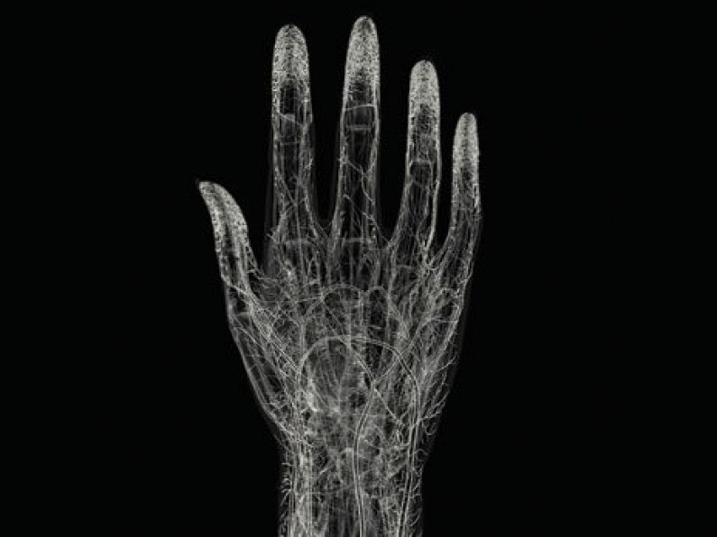 Researchers crack biometric palm vein recognition by using a fake hand