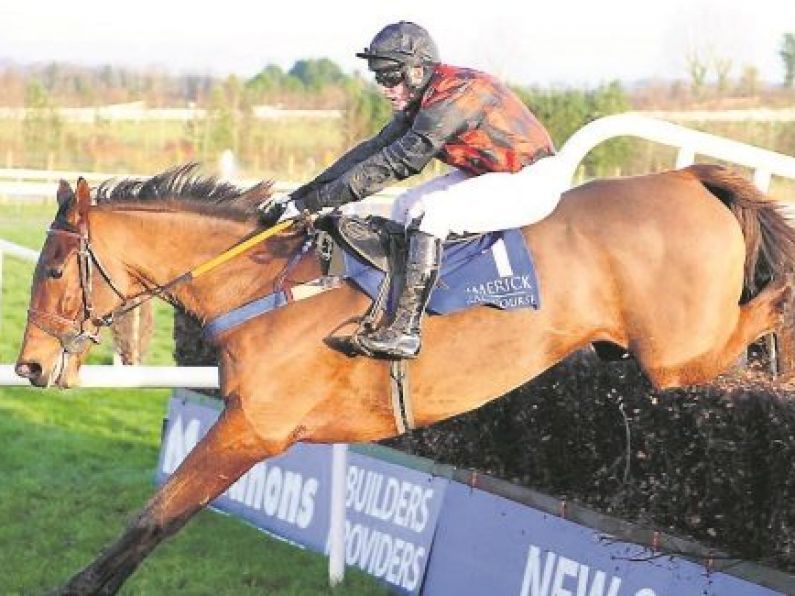 Wexford jockey Rob James apologises for getting on top of dead horse