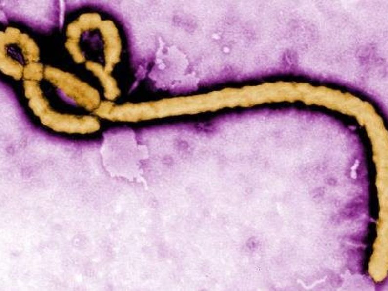 Swedish hospital isolates patient in Ebola alert