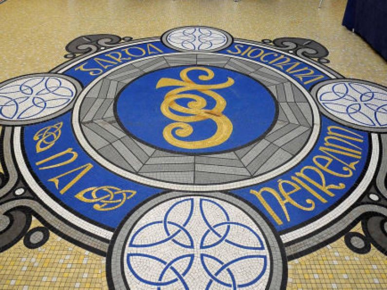 Senior garda suspended from duty amid investigation into misconduct allegations