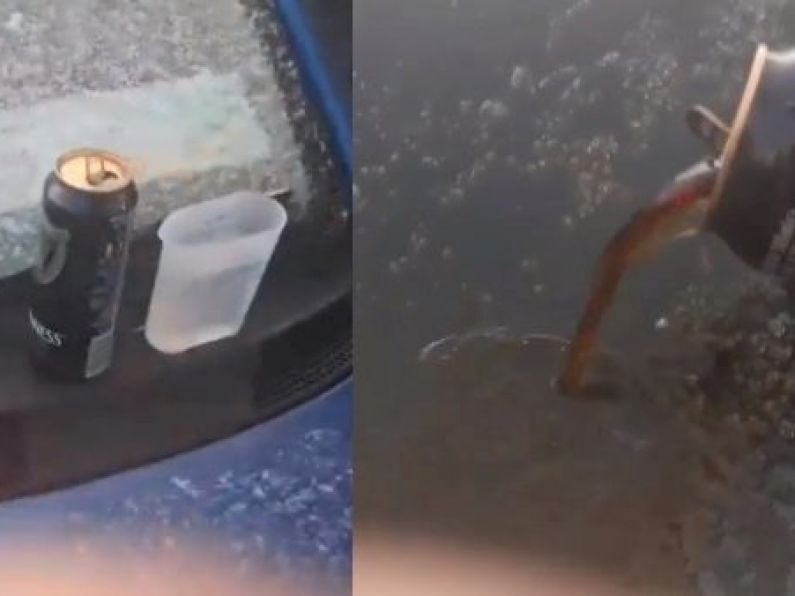 Turns out you can use GUINNESS to defrost your car