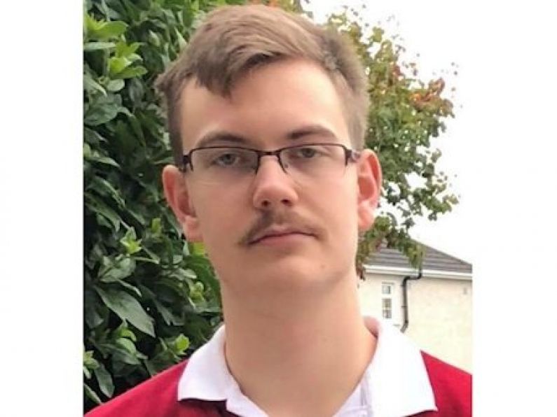 Boy, 16, missing from Co Offaly