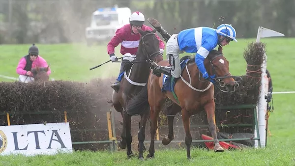 'Ride of the season': Waterford jockey produces miraculous recovery to win race
