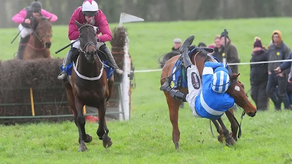 'Ride of the season': Waterford jockey produces miraculous recovery to win race