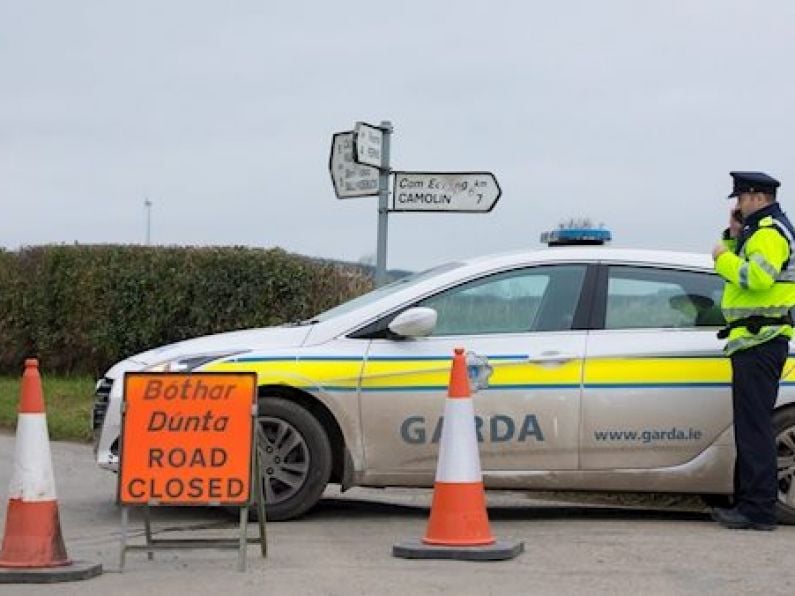Wexford councillor says skeletal remains found near Ferns were 'in a bag'