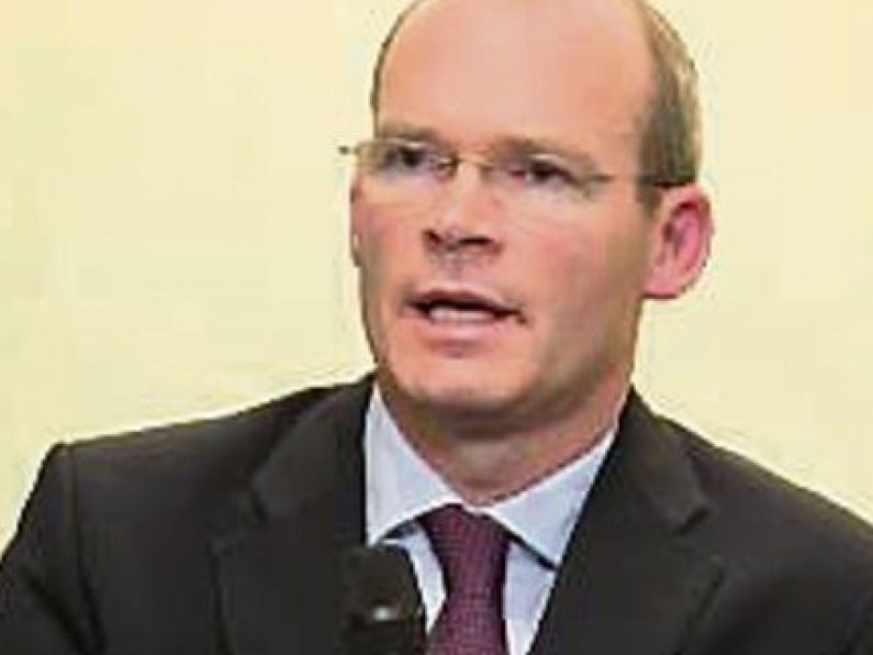 Tánaiste to hold talks with German Foreign Minister in Dublin