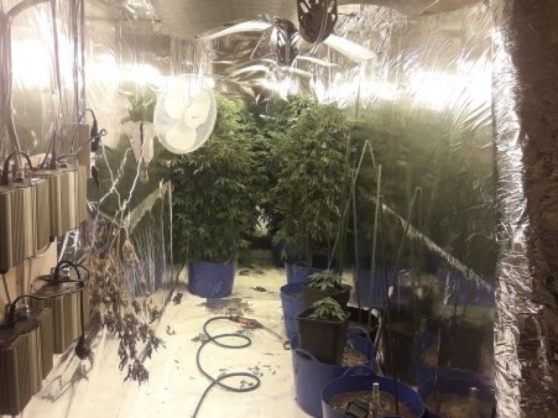 Waterford Man questioned in relation to cannabis seizure worth €360,000