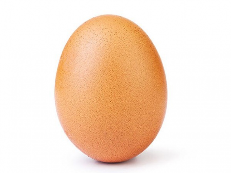 Over 30 million people consume world's most liked Egg