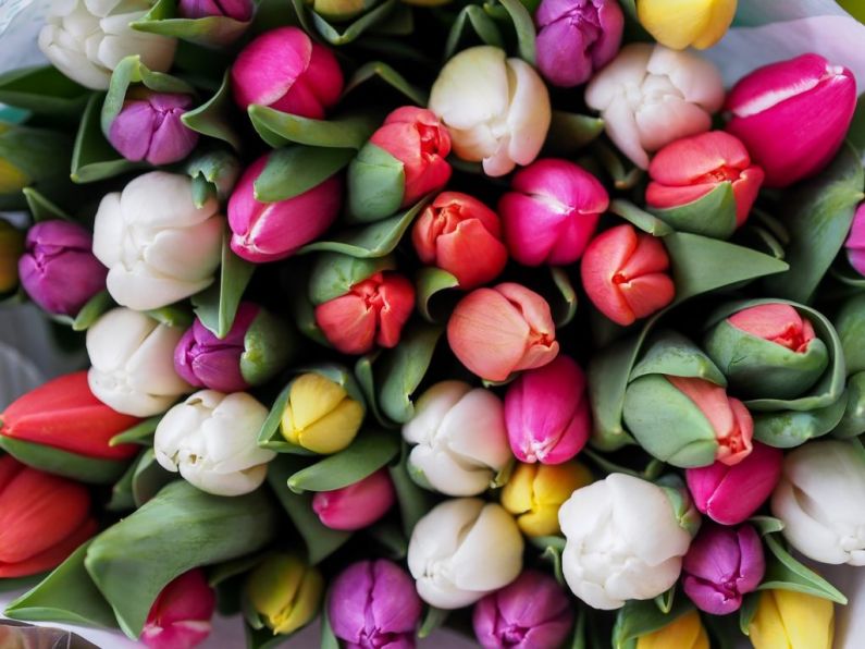 Hospitals are now banning flowers from wards for safety reasons