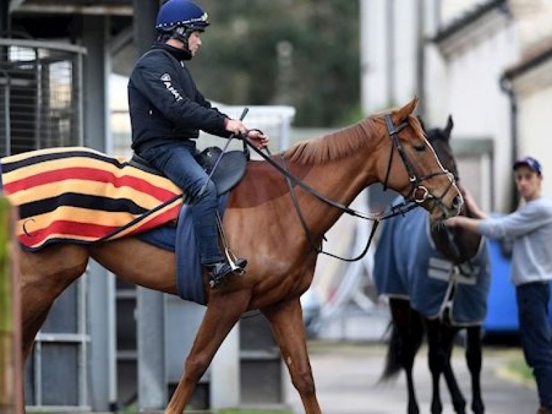 Horses from UK to be allowed to race in Ireland despite equine flu outbreak