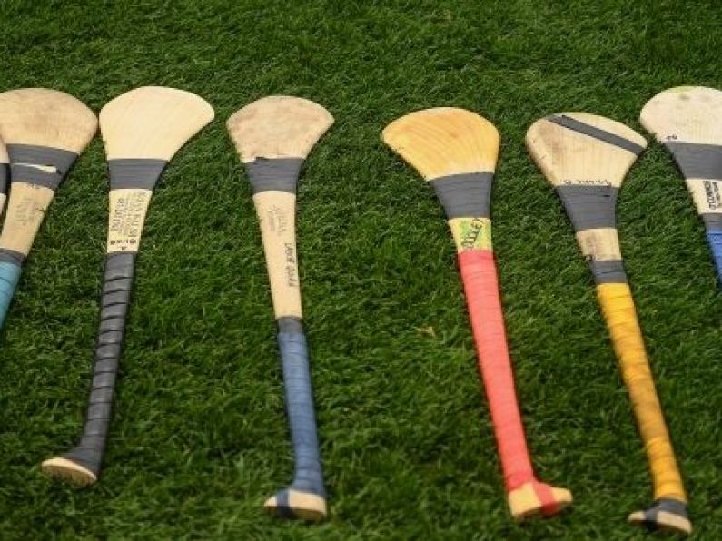 Camogie round-up: Division 1 semi-finalists decided