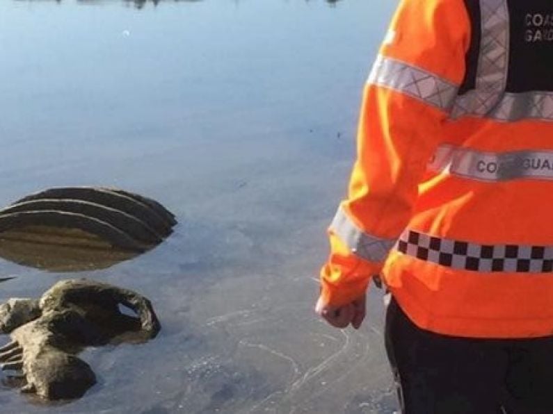 Coast Guard called to recover 'dinosaur bones' from Irish river